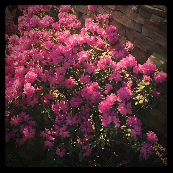 ALL bundles and offers welcome you won’t be denied - Picture 1 of 1